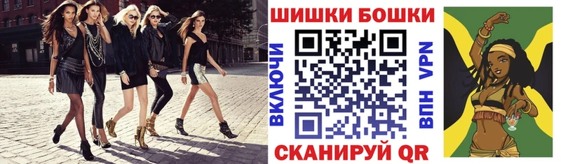 Конопля гибрид  Куровское 